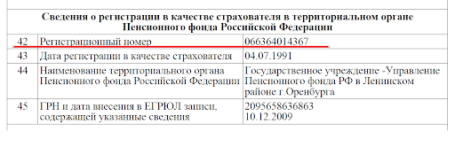 Регистрационный номер в ПФР в выписке из ЕГРЮЛ