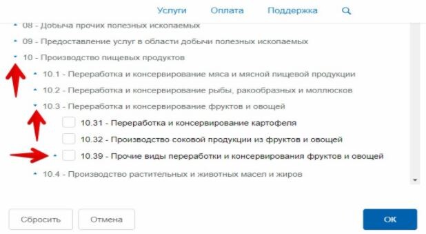 Регистрация ИП онлайн через госуслуги — пошаговая инструкция