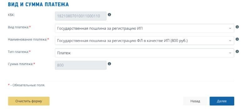 Выбор вида и суммы платежа Выбор вида и суммы платежа