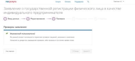 Проверка заполненного заявления для регистрации ИП на портале «Госуслуги»