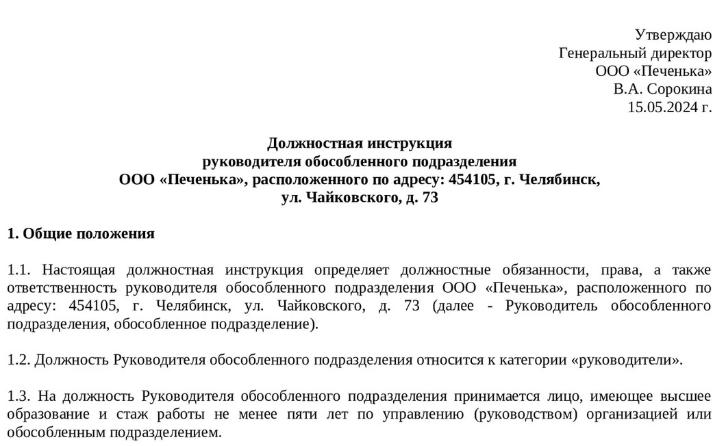 Должностная инструкция