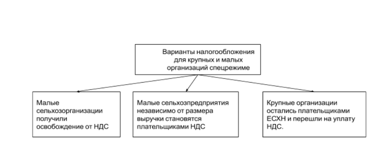 Варианты налогообложения для крупных и малых организаций спецрежиме