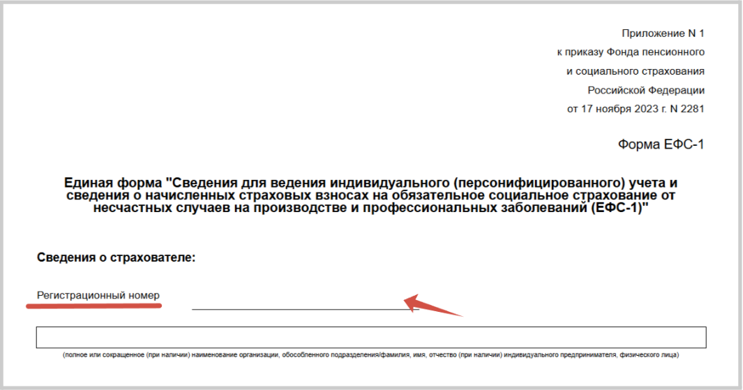 Что такое единый регистрационный номер в СФР Что такое единый регистрационный номер в СФР