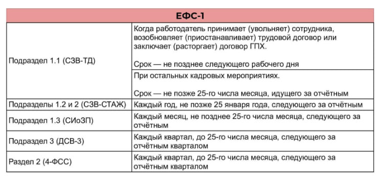 Отчётность организации на УСН в СФР