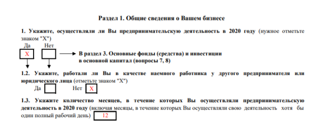 Раздел 1 формы 1-предприниматель Раздел 1 формы 1-предприниматель