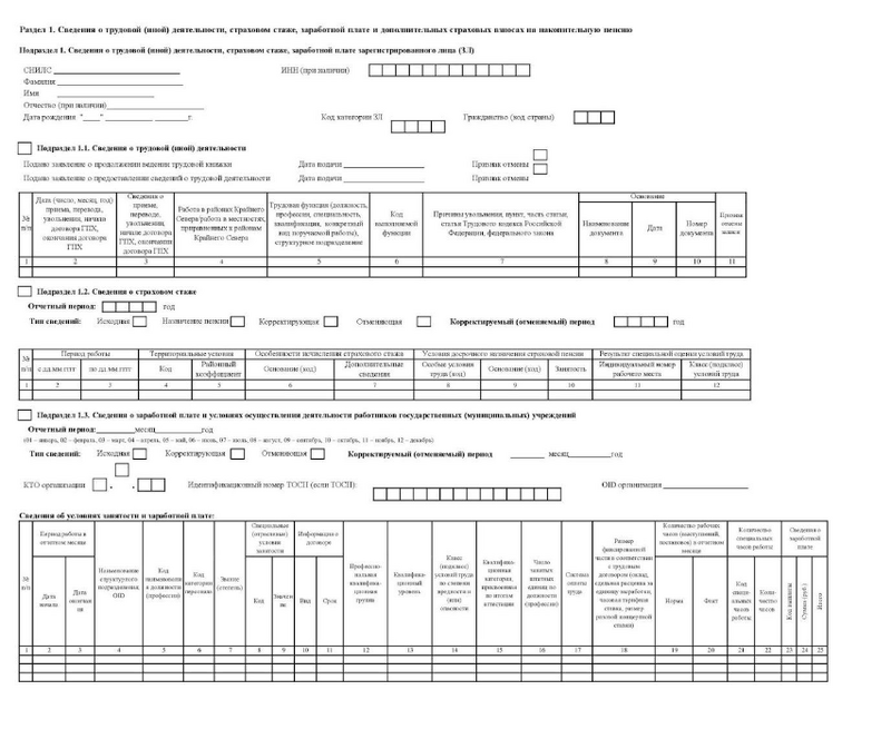 Образец бланка отчёта ЕФС-1 (2)