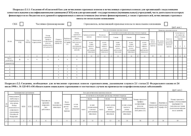 Образец бланка отчёта ЕФС-1 (5)