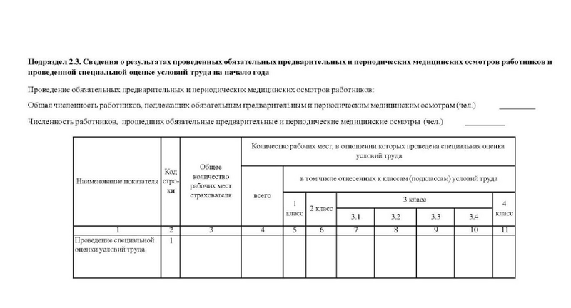 Образец бланка отчёта ЕФС-1 (6)