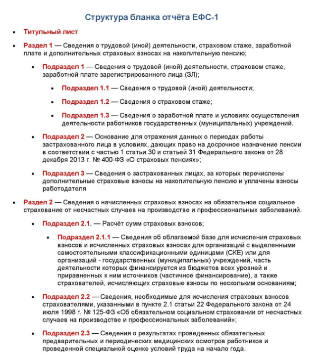 Структура бланка отчёта ЕФС-1