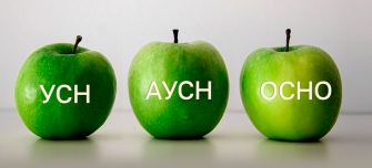  Как выбрать налоговый режим в 2026: АУСН, УСН или ОСНО