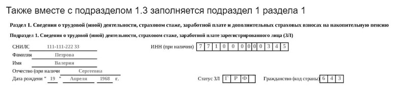 Пример заполнения подраздела 1 раздела 1