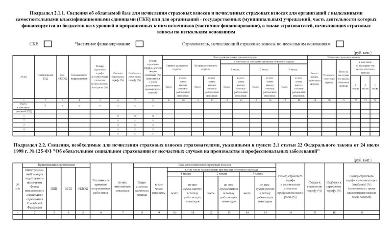 Форма раздела 2 ЕФС-1 — бланк (2)