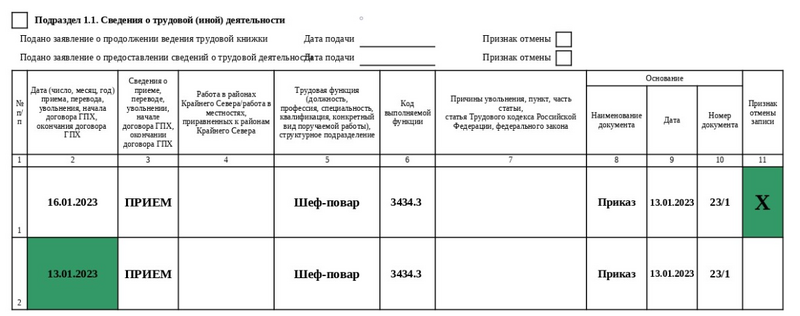 Образец корректировки сведений в подразделе 1.1 в ЕФС-1