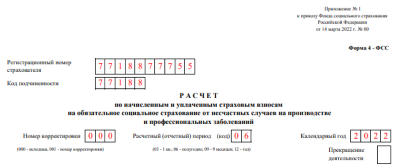 4-ФСС. Титульный лист 4-ФСС. Титульный лист
