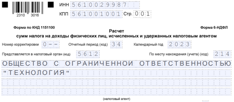 Образец заполнения кода периода представления — год