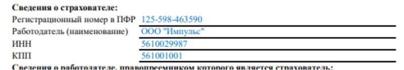 Образец заполнения информации о работодателе в СЗВ-ТД