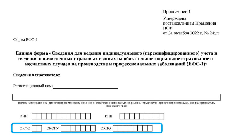 Титульный лист формы ЕФС-1 Титульный лист формы ЕФС-1