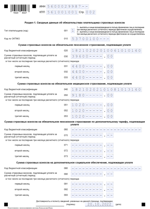 Образец заполнения РСВ (2)