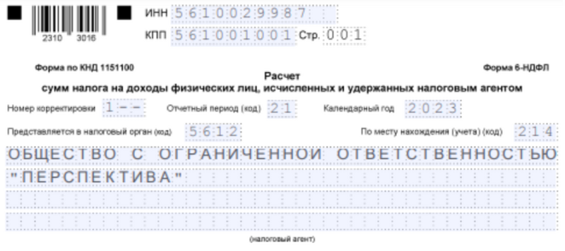 Образец 6-НДФЛ
