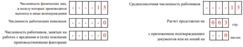 4-ФСС. Титульный лист (4)