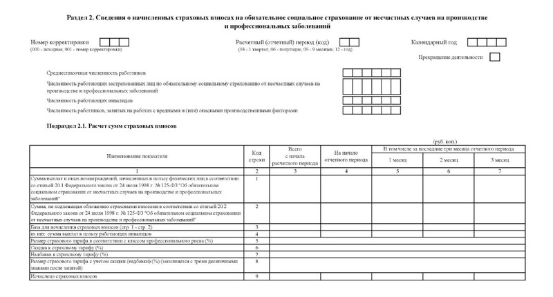 Форма раздела 2 ЕФС-1 — бланк