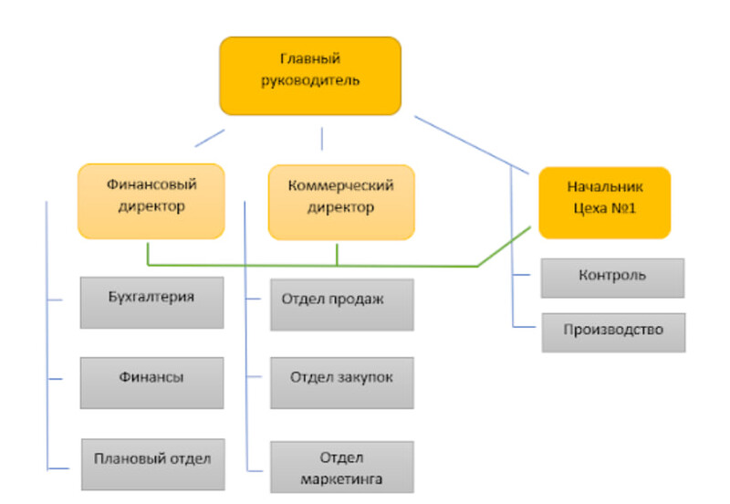  Организационная структура организации: линейно-функциональная схема
