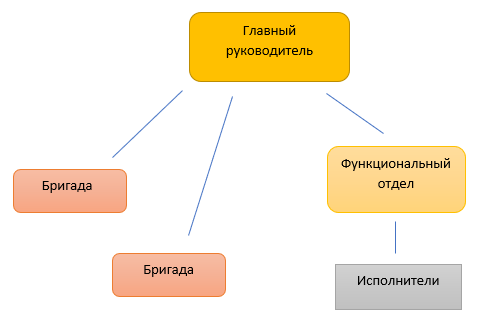 Главная организация